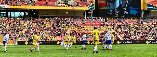 的卓越表现 的卓越表现