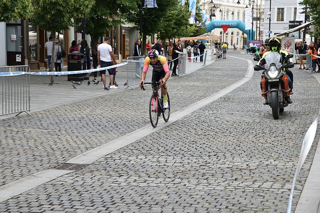 他们的行为 他们的行为