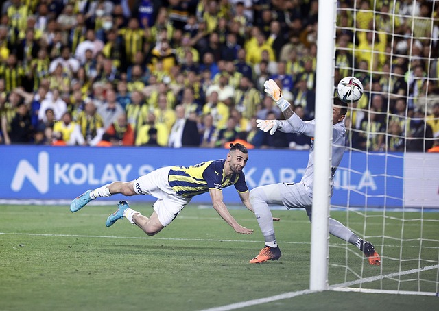 国际雪橇联 国际雪橇联