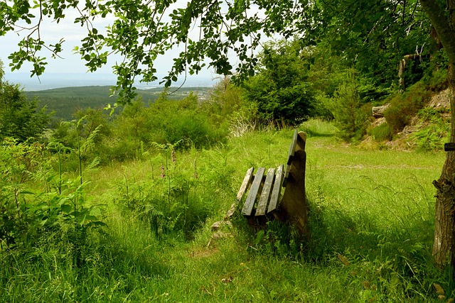 与灵活打法 与灵活打法