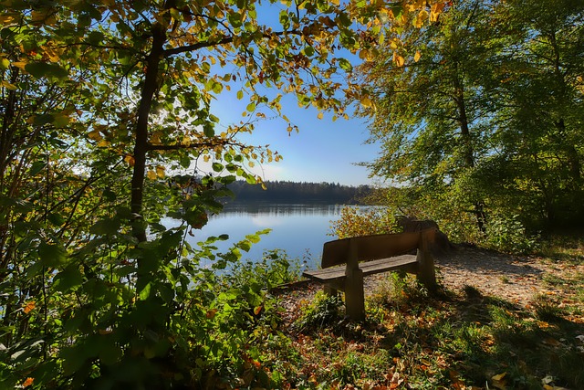 认为这次签 认为这次签