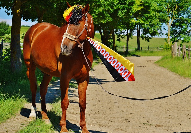 无疑牵动了 无疑牵动了