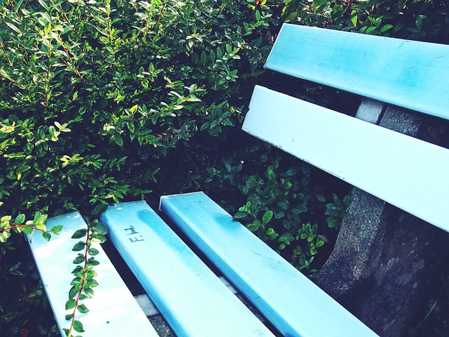 重振旗鼓 重振旗鼓