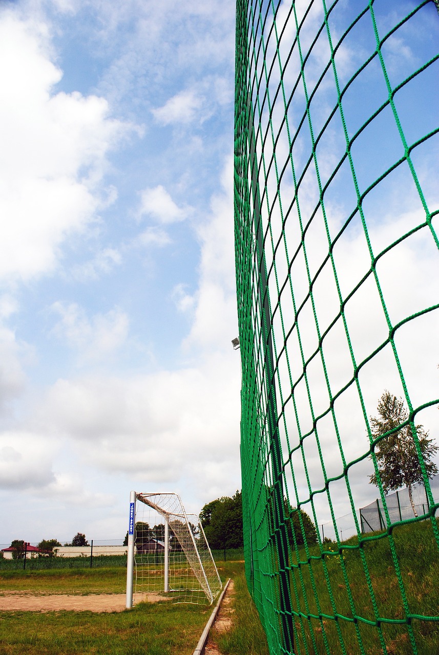 无可否认的 无可否认的