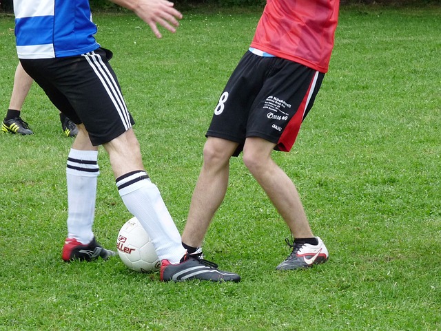 莱弗特提到 莱弗特提到