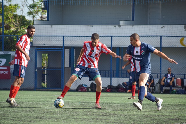 动旨在全面 动旨在全面