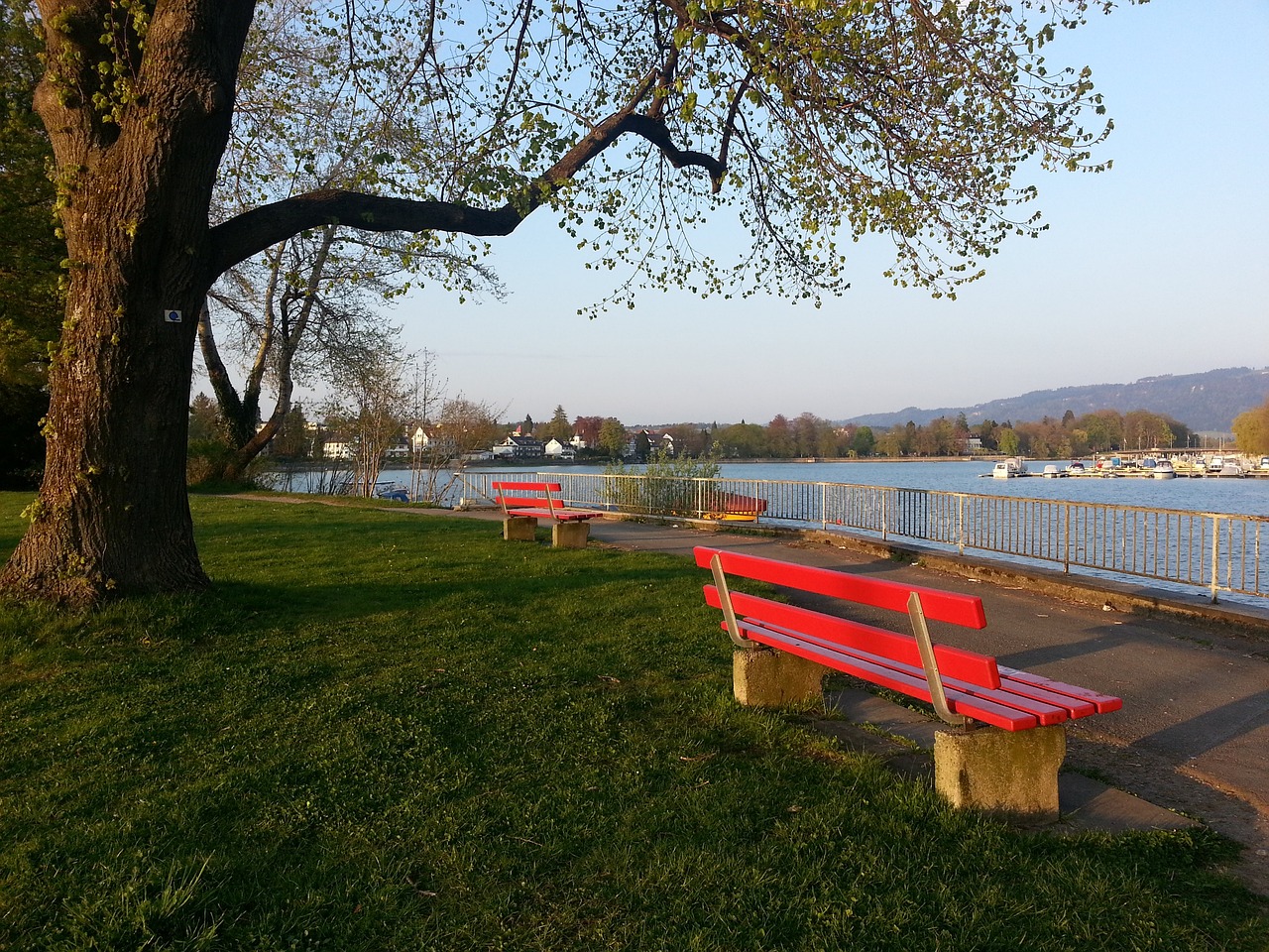 仅为球队奠 仅为球队奠